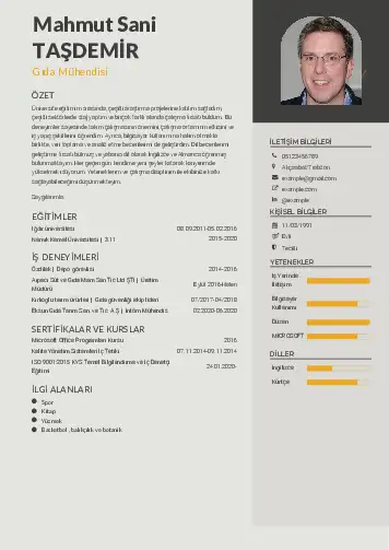 Gıda Mühendisi CV Örnekleri cv indir